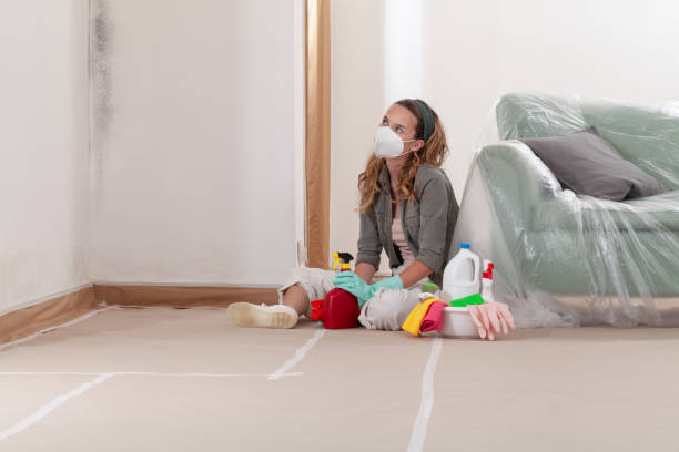 Reliable Basement Mold Remediation contractor in Avondale, PA by WQB Mold Removal
